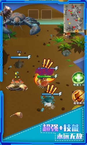 螃蟹之王下載官方