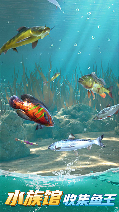 狂野釣魚2手游官網版下載