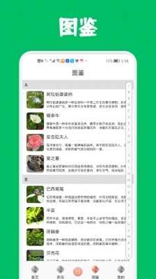 識花養花app