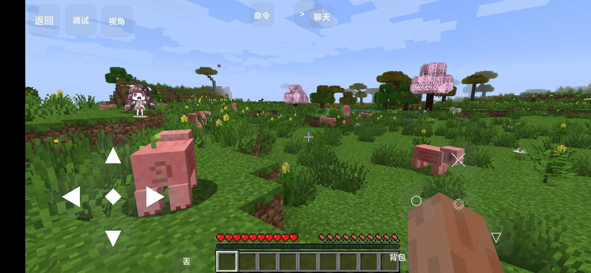 1711694585937442.jpg 6336a23d18065.jpg