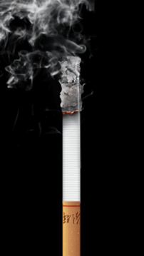 1724826416956654.jpg 110_38ddb12046adbdfb6a535e045a0bf9b1_234x360.jpg