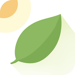 薄荷天氣預(yù)報(bào)大字版下載 1.0.0