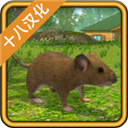 老鼠模擬器正版 1.38