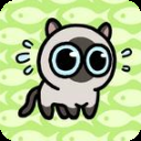 冒險貓正版下載 1