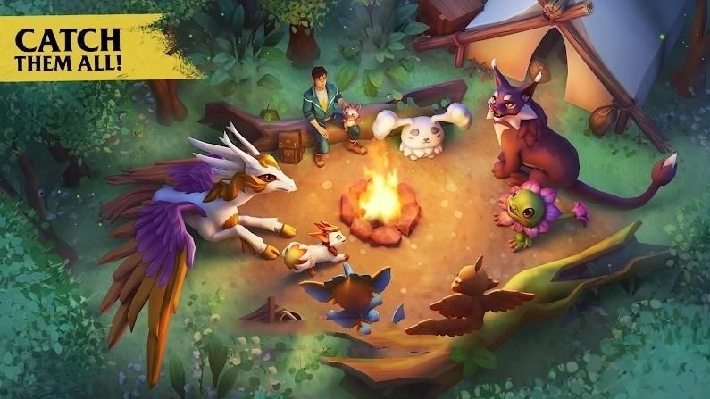 阿米金生存游戲