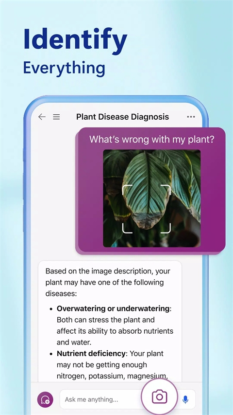 必應國際版下載