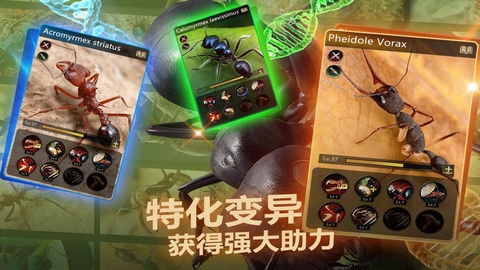 小小蟻國官網(wǎng)下載