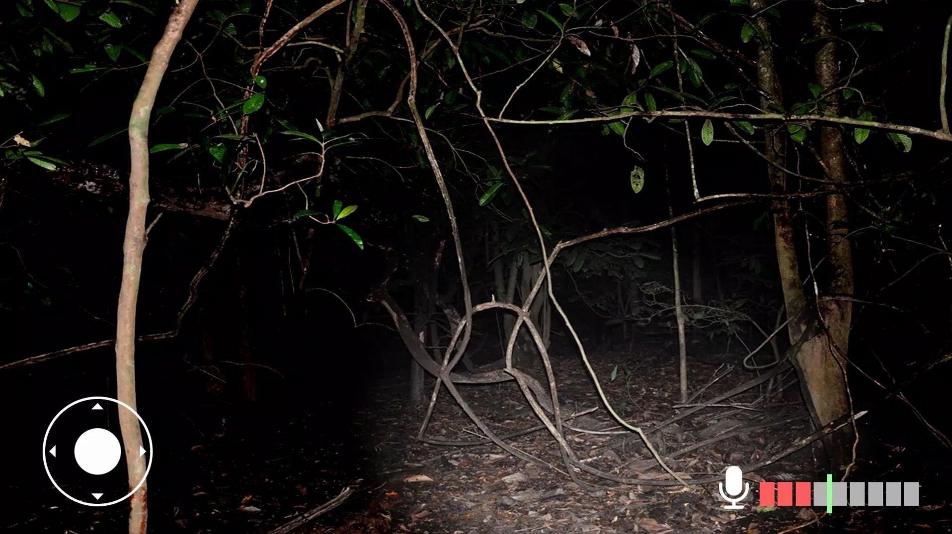 永遠(yuǎn)不要尖叫游戲下載