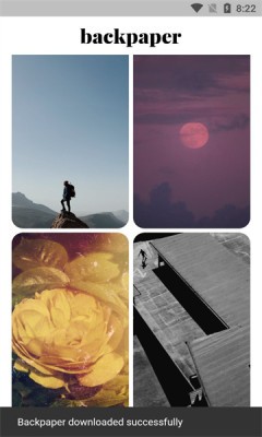 Backpaper官方版下載
