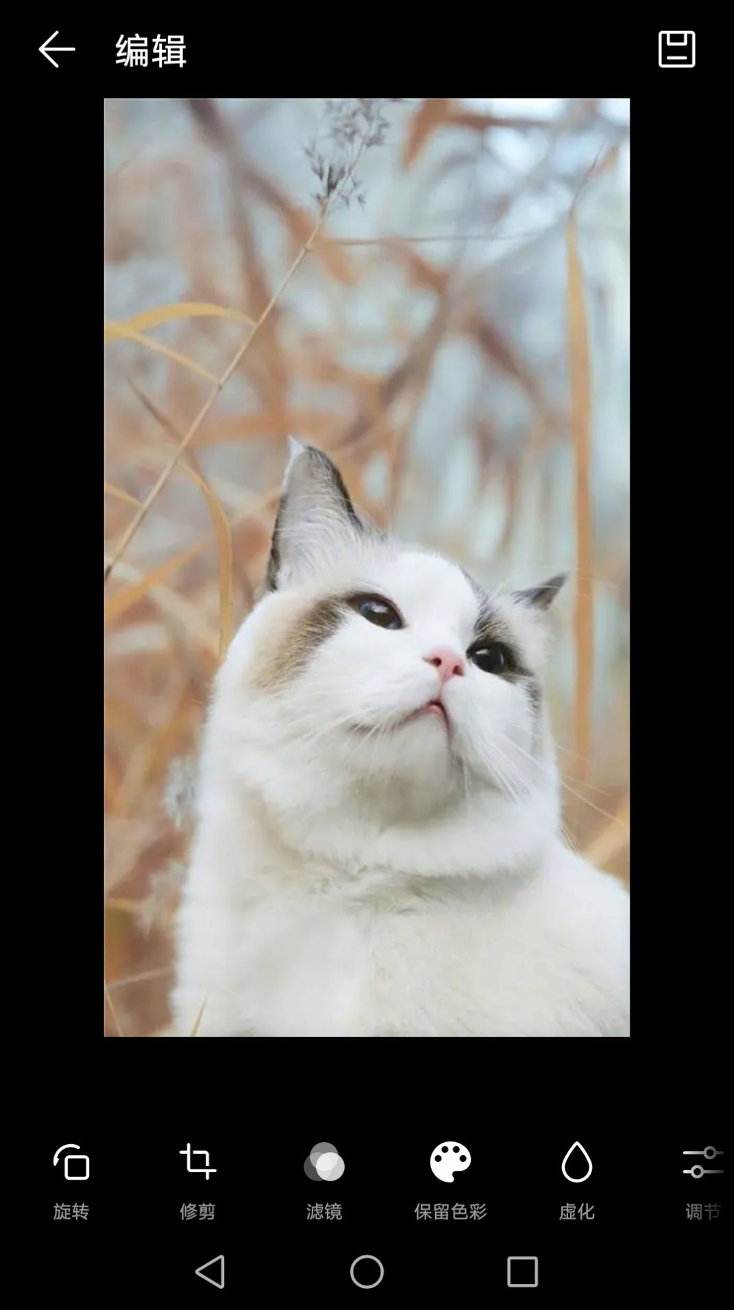 雙祥相冊最新版