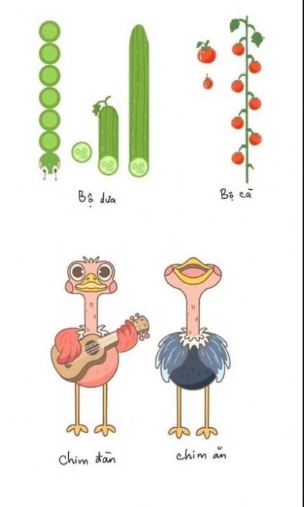 鳥兒二重唱游戲最新版