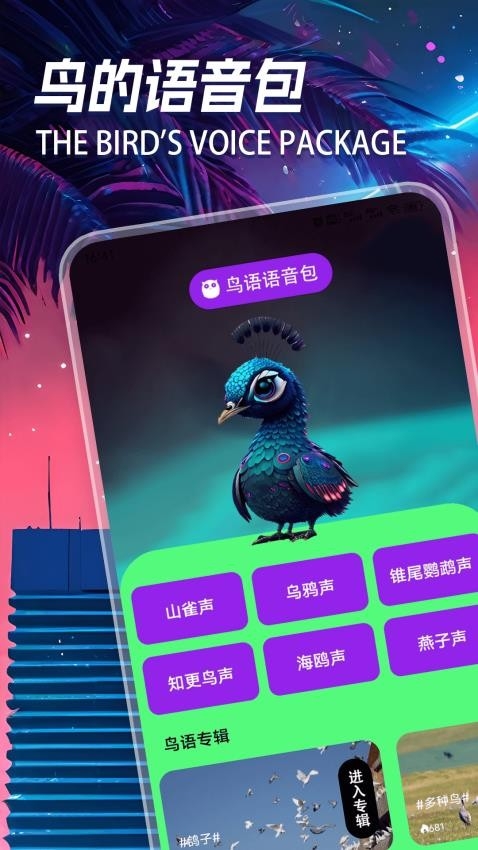孤獨的鳥類app下載安裝最新版