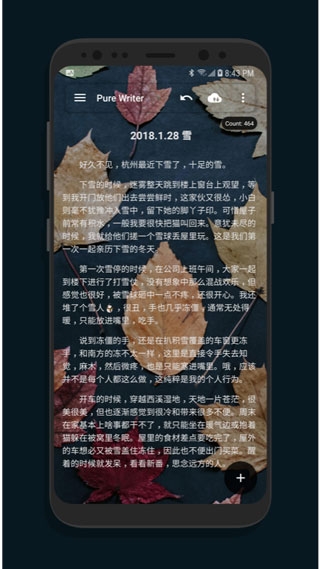 純純寫作安卓版