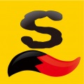 搜狐網安卓版 6.0.13