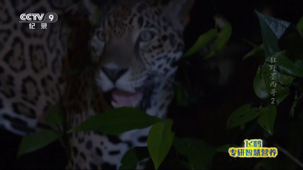 1726804846106547.png 微信截圖_20240920115219.png