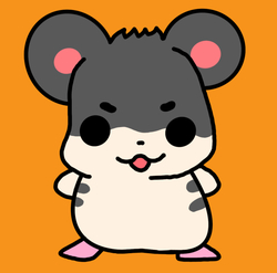 SAIKO?HAMSTER