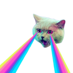 STUPID?SILLY?CAT (Runes)